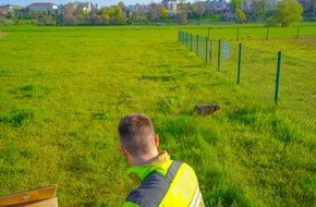 Feuerwehr Dresden: FW Dresden: Informationen zum Einsatzgeschehen der Feuerwehr Dresden vom 5. Mai 2021