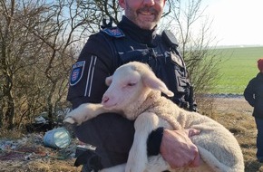 Landespolizeiinspektion Erfurt: LPI-EF: Erfolgreiche Tierrettung