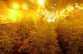 Polizei Gelsenkirchen: POL-GE: Große Cannabis-Plantage in der Neustadt gefunden