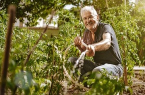 Wort & Bild Verlagsgruppe - Gesundheitsmeldungen: Gesünder gärtnern: Tipps für die Gartenarbeit ohne Rücken- und Gelenkschmerzen