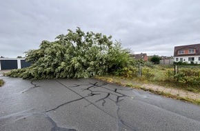 Feuerwehr Stadt Geestland: FW Geestland: Nach Starkwinden in Langen: Verkehrsbehinderungen durch umgest&uuml;rzte B&auml;ume