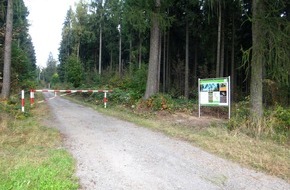 Deutsche Bundesstiftung Umwelt (DBU): DBU: Hartmannsdorfer Forst: Risiken abseits der Wege