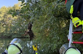 Feuerwehr Schermbeck: FW-Schermbeck: F&uuml;nf Eins&auml;tze f&uuml;r die Feuerwehr Schermbeck