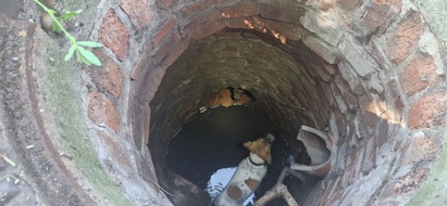 FW Dinslaken: Tag der Tierrettung und kleiner Vegetationsbrand