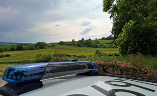 Polizeidirektion Neustadt/Weinstraße: POL-PDNW: Unfallflucht