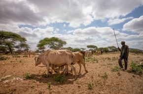 Caritas Schweiz / Caritas Suisse: Caritas Schweiz leistet Nothilfe in Äthiopien, Kenia, Kongo und Somaliland / Hungerkatastrophe in Ostafrika spitzt sich zu