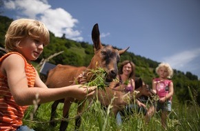 Urlaub am Bauernhof Tirol: Euro 837.356,41 Online-Buchungen seit Jahresbeginn (Stand 13. August 2012) - BILD