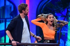 SAT.1: Sophia Thomalla hat tierischen Rätselspaß in "Das Quiz, für das Jörg Pilawa keine Zeit mehr hatte" - am Freitag, 20. September 2019, in SAT.1