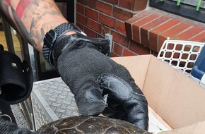 Polizeiinspektion Wilhelmshaven/Friesland: POL-WHV: Herrenlose Schildkröte aufgefunden