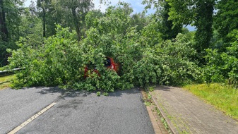 Polizeiinspektion Stade: POL-STD: Baum fällt auf Straße und trifft Auto - Fahrer nicht verletzt, Polizei Buxtehude sucht Fahrrad-Eigentümer, Alkoholisierter Autofahrer verursacht Beinaheunfall - Polizei sucht Zeugen