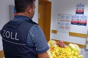 Hauptzollamt Bielefeld: HZA-BI: Gut informiert durch den Zoll/Tipps f&uuml;r eine sorgenfreie R&uuml;ckkehr aus dem Urlaub