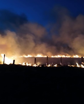 FW Horn-Bad Meinberg: Wiese auf 1000qm abgebrannt - Feuer drohte auf Gewerbekomplex überzugreifen