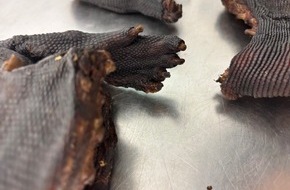 Hauptzollamt München: HZA-M: Zoll entdeckt Waranfleisch bei Reisendem aus Lagos
