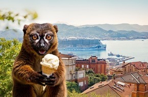 AIDA Cruises: AIDA Pressemeldung: AIDA startet mit &bdquo;Maki Matti&ldquo; und Sommertr&auml;umen in die neue Saison