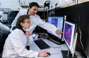 Universität Osnabrück: Neuer internationaler Master in Membranbiologie: Kooperation der Universität Osnabrück mit Hochschulen in Nizza und Genua