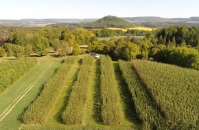 Universit&auml;t Kassel: SPERRFRIST 16 Uhr: Landwirtschaft weiterentwickeln: Uni Kassel beteiligt an l&auml;nder&uuml;bergreifendem Forschungsverbund