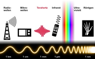 Universität Augsburg: Neu entdeckter Effekt bei Terahertz-Wellen lässt auf Fortschritte in IT und Medizin hoffen