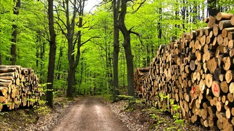Deutsche Säge- und Holzindustrie Bundesverband e. V. (DeSH): Keine Flächenstilllegungen oder Nutzungseinschränkungen im Wald – Holzbau leistet einen wesentlichen Beitrag zum Klimaschutz