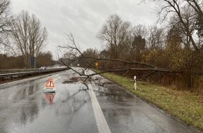 Polizeidirektion Landau: POL-PDLD: Germersheim - Umgestürzter Baum verursacht zwei Verkehrsunfälle auf der Bundesstraße 9