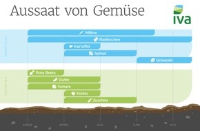 Industrieverband Agrar e.V. (IVA): Direktsaat oder Vorziehen: Tipps für die ersten Schritte zum eigenen Gemüsegarten