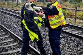 Bundespolizeiinspektion Kiel: BPOL-KI: Bundespolizei - Schwan aus Gleisbereich gerettet