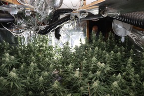 POL-MR: Professionelle Cannabis-Plantage sichergestellt - Haftbefehle gegen zwei Beschuldigte