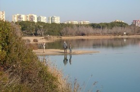 Global Nature Fund: Zu grün, um gesund zu sein - Der Albufera-See ist Bedrohter See 2020