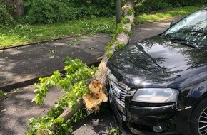 Polizei Dortmund: POL-DO: Autofahrerin prallt in umgestürzten Baum