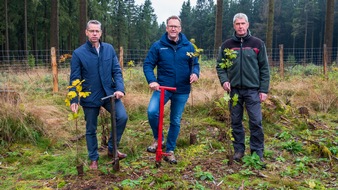 Krombacher Brauerei GmbH & Co.: Gemeinsam für den Wald: Krombacher und Stadt Winterberg starten Aufforstungs-Aktion