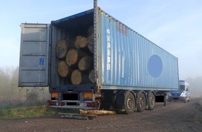 Polizeipr&auml;sidium Osthessen: POL-OH: Zu schwer und falsch beladen - Sattelzug mit Eichenst&auml;mmen konnte Holzlagerplatz nicht verlassen