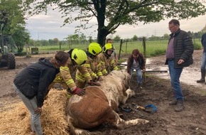 Feuerwehr Ratingen: FW Ratingen: Pferd versinkt in matschigem Erdreich - nicht alltäglicher Einsatz für die Feuerwehr Ratingen