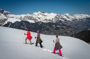 Ferris Bühler Communications: Versöhnlicher Saisonabschluss nach schwieriger Wintersaison auf der Engstligenalp