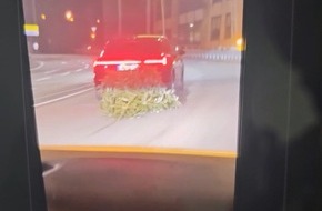 Kreispolizeibehörde Siegen-Wittgenstein: POL-SI: Audi zieht 4-Meter-Tannenbaum auf HTS hinter sich her - Polizei sucht nun Zeugen - #polsiwi