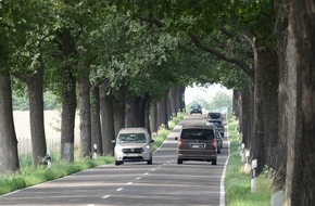 DEKRA SE: Die Allee verzeiht keine Fahrfehler / Jeder vierte Todesfall auf Landstraßen nach Baumkollision