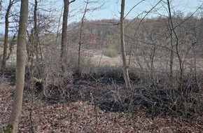Polizeiinspektion Hildesheim: POL-HI: Waldrand ger&auml;t in Brand - Zeugenaufruf