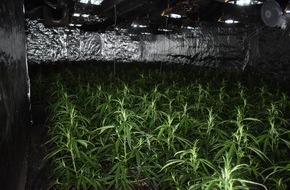 Polizei Aachen: POL-AC: Cannabis-Plantage bei Feuerwehreinsatz entdeckt - Tatverdächtiger festgenommen