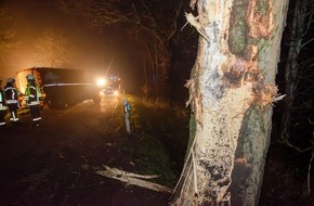 Kreisfeuerwehrverband Rendsburg-Eckernförde: FW-RD: Milchlaster fährt gegen Baum - L128 zwischen Gokels und Seefeld vollgesperrt
