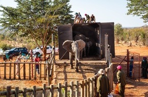 IFAW - International Fund for Animal Welfare: Elefantenwaisen in Simbabwe auf dem Weg in die Freiheit