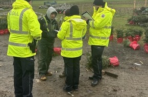 Hauptzollamt Bielefeld: HZA-BI: Oh Tannenbaum/Zoll und Bezirksregierung kontrollieren Weihnachtsbaumbranche im Hochsauerlandkreis