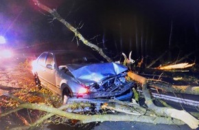 Polizeipräsidium Neubrandenburg: POL-NB: Baum fällt auf BMW