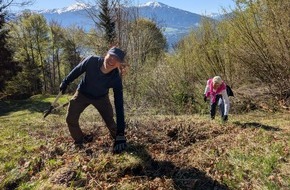 Laverana GmbH: Internationaler Tag der biologischen Vielfalt / Biodiversit&auml;t braucht Pflege zum Mitmachen / lavera unterst&uuml;tzt Hochalmpflege im Naturpark Karwendel