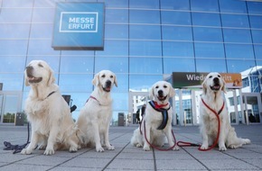 Messe Erfurt: Erfurter Rassehunde- und Rassekatzen-Ausstellung 2023 mit 9.000 Besuchern