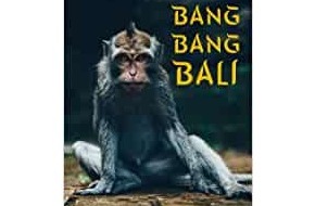 Presse für Bücher und Autoren - Hauke Wagner: Bang Bang Bali - ein Roman von der Schauspielerin Henrike von Kuick