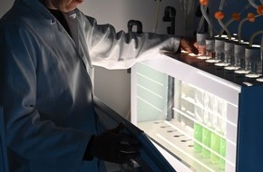 Universit&auml;t Kassel: Wichtiger Schritt zur nachhaltigen Wasserstoffproduktion mit Cyanobakterien