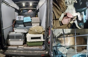 Bundespolizeidirektion M&uuml;nchen: Bundespolizeidirektion M&uuml;nchen: Bundespolizei entdeckt mutma&szlig;lich illegalen Tiertransport bei Grenzkontrolle in B&auml;rnau