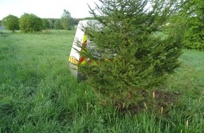Polizeipräsidium Trier: POL-PPTR: Schmuckloser Baum behindert Radarmessung