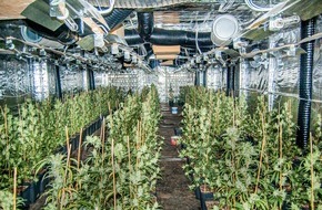 Kreispolizeibehörde Märkischer Kreis: POL-MK: Cannabisplantage mit über 700 Pflanzen in Meinerzhagen aufgefunden - Vier Männer in Untersuchungshaft