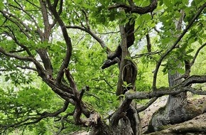 Bund f&uuml;r Umwelt und Naturschutz Deutschland e.V. (BUND): ++ Tag der biologischen Vielfalt: BUND fordert mehr Wildnis in Deutschland &ndash; Bundesregierung muss ihren Verpflichtungen nachkommen &acirc;++
