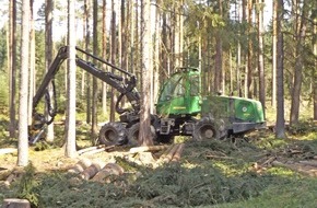 Deutsche Bundesstiftung Umwelt (DBU): Borkenkäferplage auch auf DBU-Naturerbefläche Pöllwitzer Wald