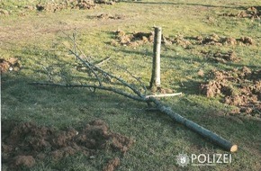 Polizeipräsidium Westpfalz: POL-PPWP: Wer hat den Baum gefällt?